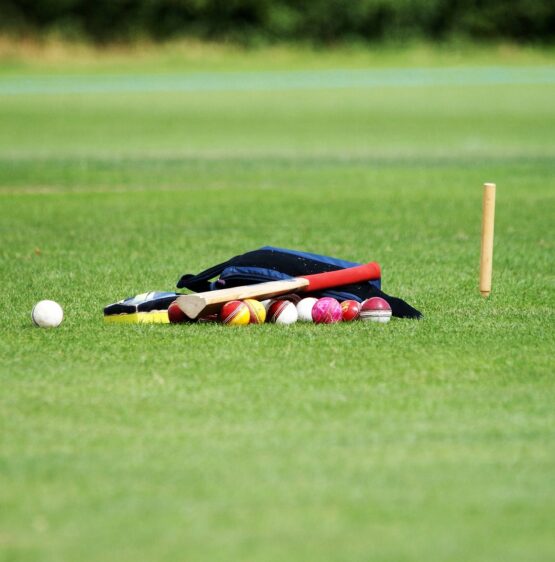 cricket-5428976_1280