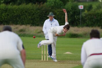 cricket-724618_1280